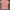 Vivienne westwood tee women photo 6