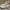 Converse Run Star White photo 2