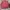 Jaket Musim Dingin WINGS – Ukuran XXL photo 3
