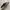 Miista Steph Black/Brown Leather Sandals EU36 photo 6