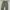 Ethos Baggy Balloon Cargopants photo 3