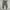 Ethos Baggy Balloon Cargopants photo 2
