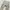 Back Number Cargo Slim Fit Straight Multi Pocket Pants Beige photo 3