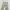 Back Number Cargo Slim Fit Straight Multi Pocket Pants Beige photo 1