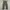 Poem Baggy Denim Cargopants