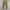 Maison Big Pocket Cargopants photo 1