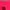 La Christie Hot Pink Shorts Size M photo 5