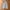MNEM Korea Sweatpants bahan baby tery tebal type baloon photo 1