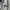 MNEM Korea Sweatpants bahan baby tery tebal type baloon photo 5