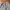 MNEM Korea Sweatpants bahan baby tery tebal type baloon photo 4