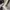 Converse Chuck Taylor 70 Renew photo 3