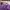 G2000 Purple Shirt Size M photo 5