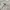 United Colors of Benetton Casual Sweater Wanita white photo 3