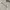 United Colors of Benetton Casual Sweater Wanita white photo 2
