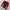 Longsleeve Maroon photo 4