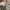 Ocean Pacific Streetwear Short Pria white tan brown photo 7
