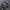 Harington jeans Work jaket Union Made Painting Berserk photo 2