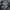 Harington jeans Work jaket Union Made Painting Berserk photo 3