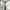 Outer Minimal  photo 1