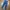Celana Jeans H&M Skinny Fit Mantab