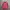 Rompi Phenix Snowboard Puffer Down Vest