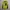 Rompi Montbell ClimaAir Fleece Nylon Vesr photo 1