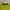 Rompi Montbell ClimaAir Fleece Nylon Vesr photo 4