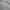 Adidas Y2K Sportswear Track jacket Pria gray photo 7