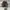 Converse Weapon Jamaica (42) photo 4