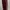 Celana Adidas Trackpants Maroon