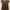 Brown Metallic Boxy Dress Size M