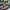 Birkenstock Gizeh BS Summer Floral Vegan photo 3