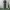 COVERALL TNI AU photo 1