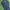 COVERALL TNI AU