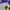 NEPA Jacket Outdoor Waterproof Gorpcore photo 5