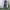 COVERALL DICKIES NAVY photo 1