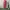 COVERALL RED WINGS photo 1