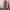COVERALL RED WINGS