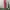 COVERALL RED WINGS photo 2