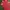 COVERALL RED WINGS photo 3