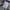 COVERALL DICKIES  photo 6
