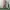COVERALL DICKIES  photo 1