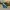 Asics Novablast 4 - Standard Blue Teal photo 3