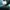 Asics Novablast 4 - Standard Blue Teal photo 4