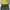 NEPA Jacket Running