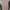 H&M Pink and White Stripe Dress EUR 134/140 photo 1