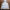 Snow Peak Y2K Sportswear Track jacket Wanita white photo 6