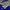 Jersey Adidas NBA Klay Thompson #11 Golden State Warriors photo 3