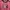 kaos jersey tebal pink unisex photo 3