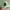 Topi Alo Yoga Green Mint photo 3